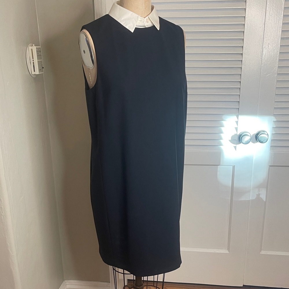 Theory Navy blue Sleeveless Dress with White detachable Collar Sz12